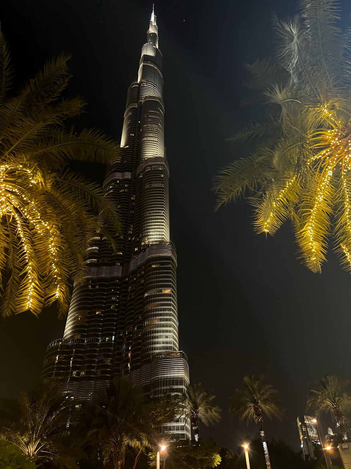 Burj Khalifa at night, framed by palm trees
